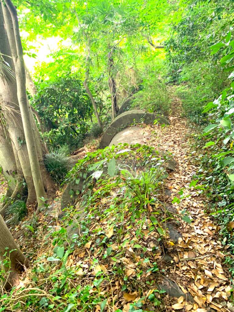 新河岸川・赤間川
