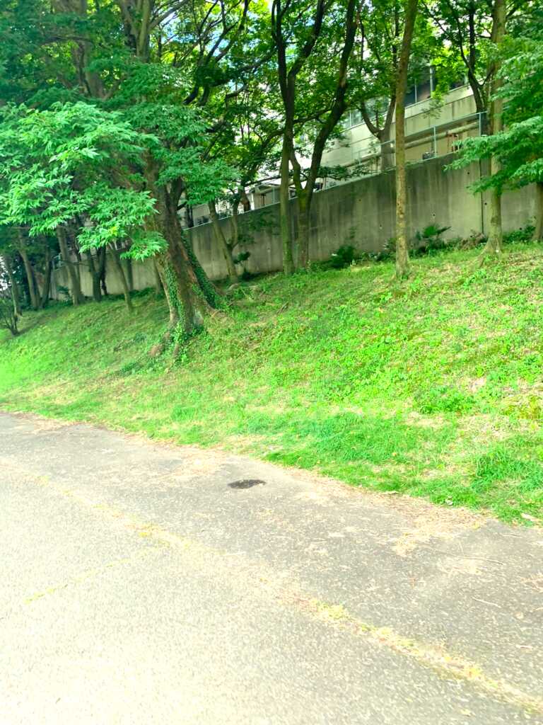 新河岸川・赤間川