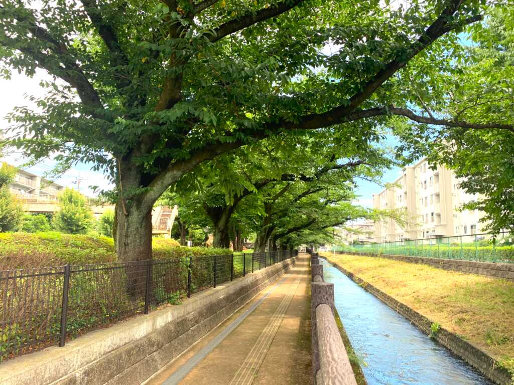 新河岸川・赤間川