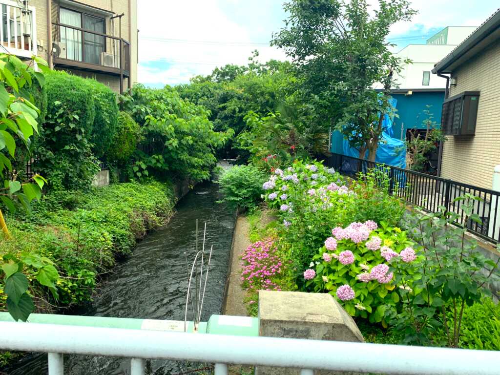 新河岸川・赤間川