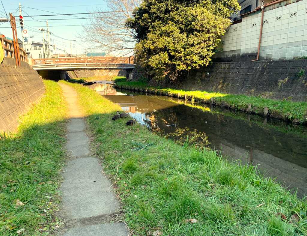 新河岸川・赤間川