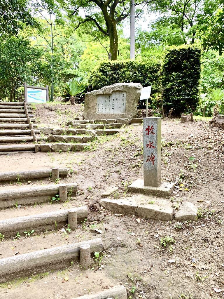 野川・国分寺崖線
