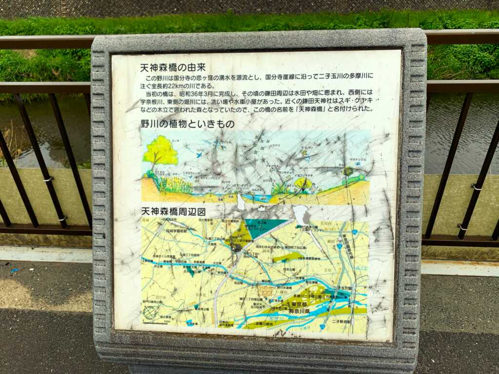 野川・国分寺崖線