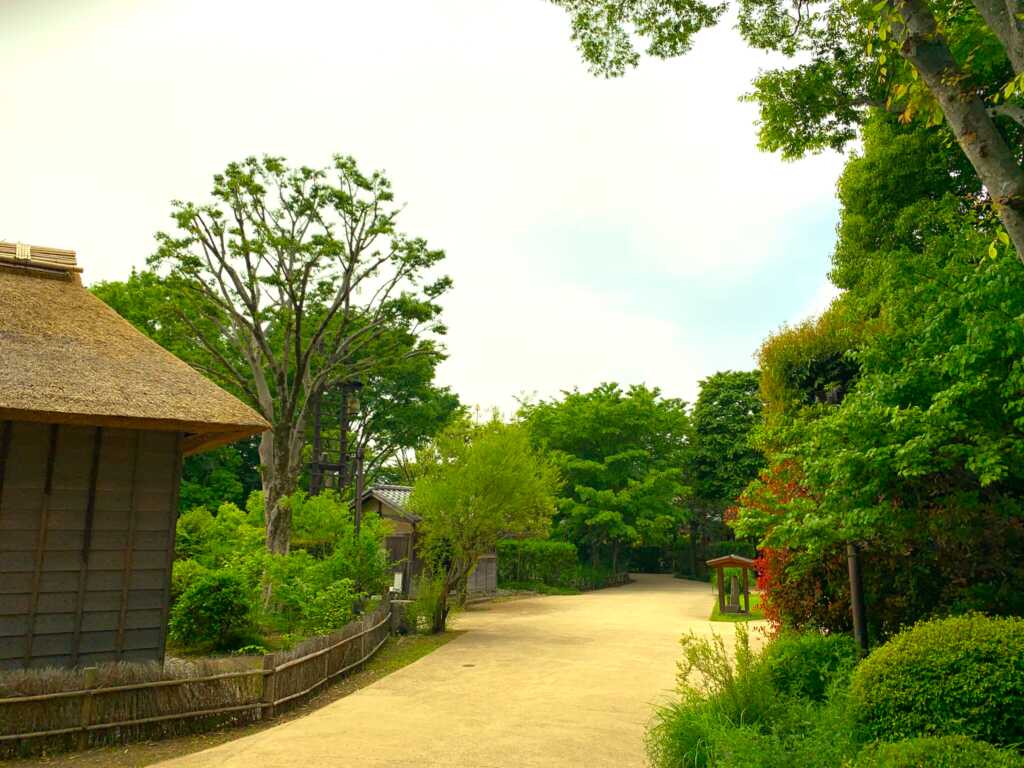 野川・国分寺崖線