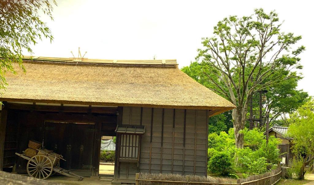 野川・国分寺崖線