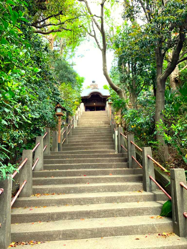 野川・国分寺崖線