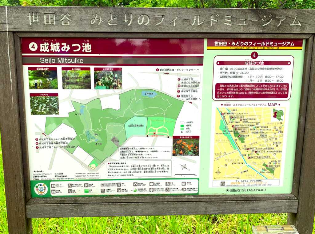 野川・国分寺崖線