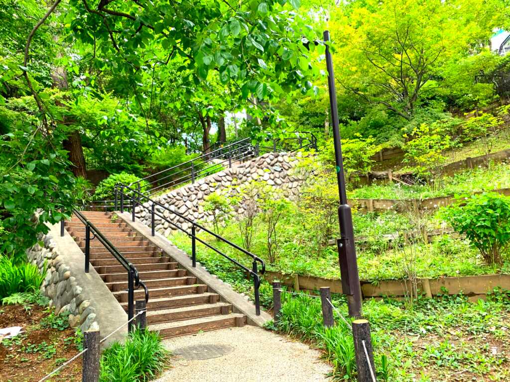 野川・国分寺崖線