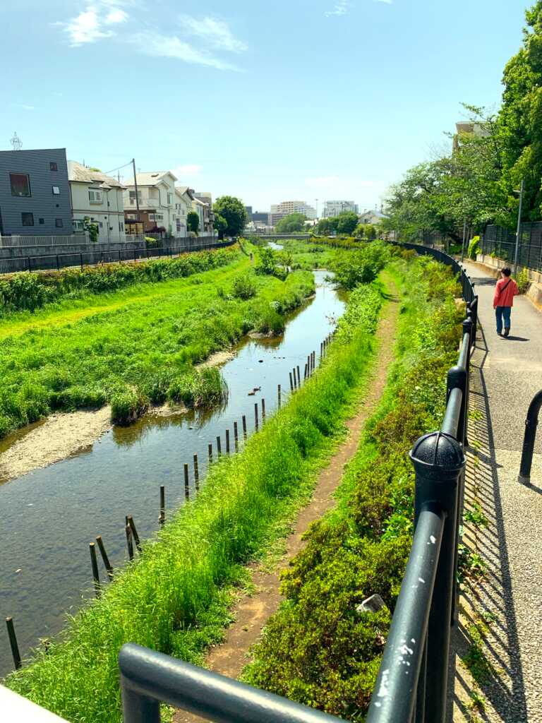 野川・国分寺崖線