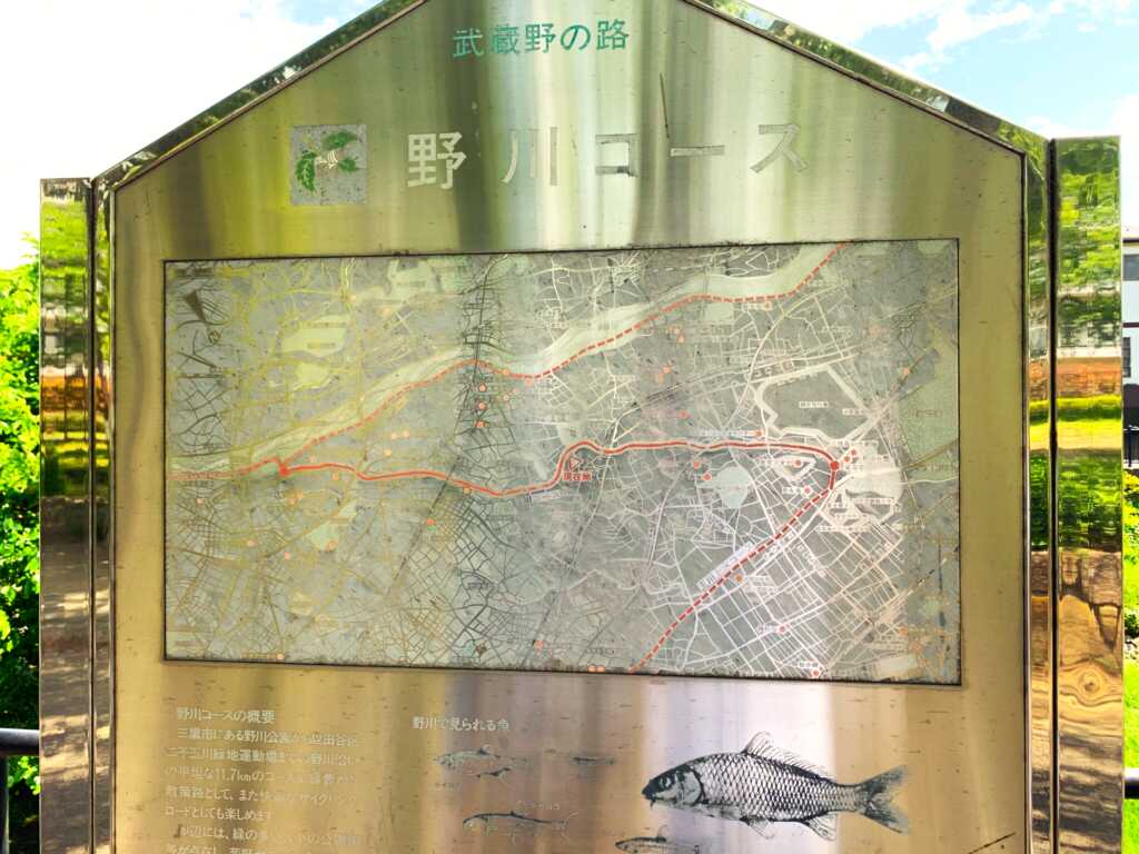 野川・国分寺崖線