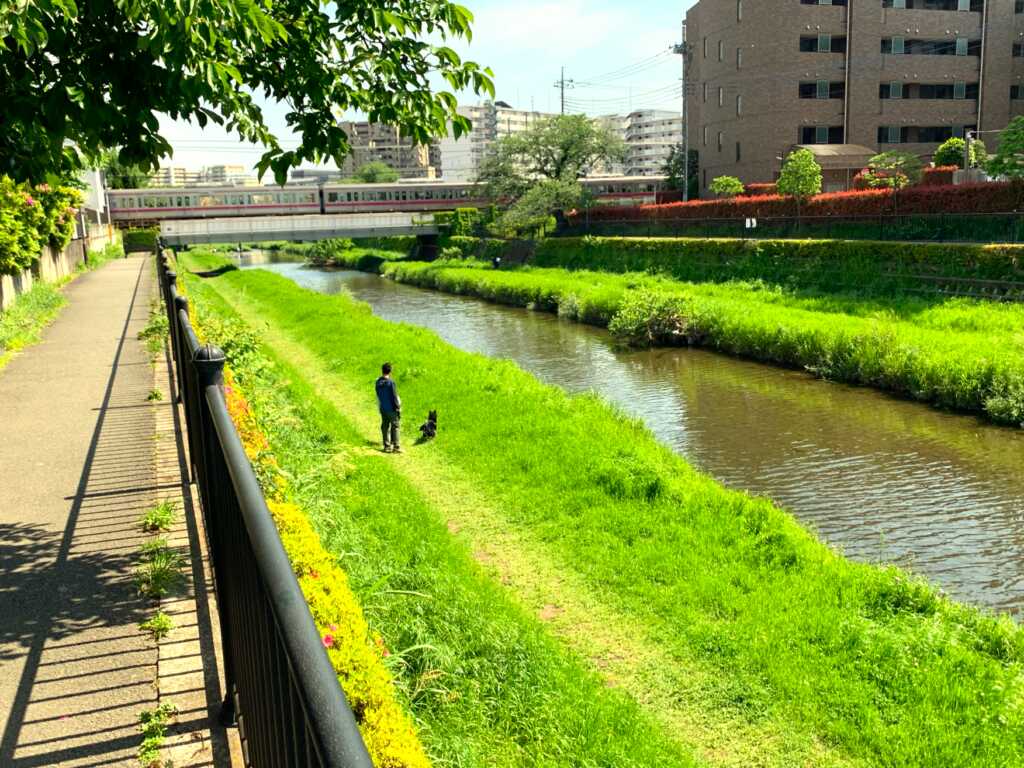 野川・国分寺崖線