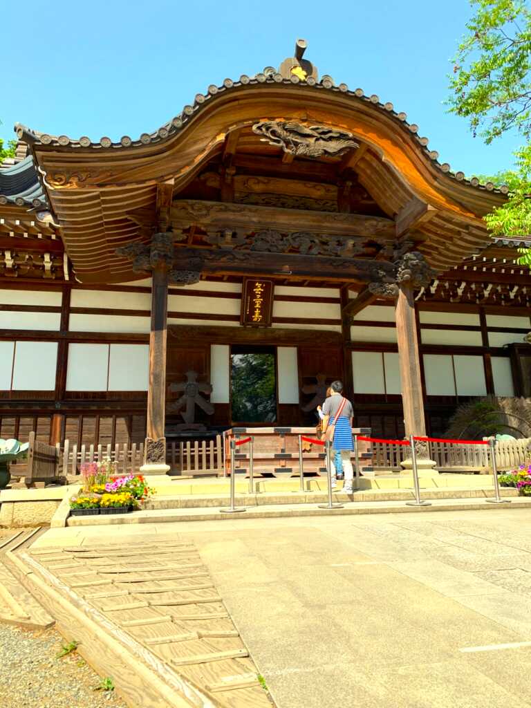野川・国分寺崖線