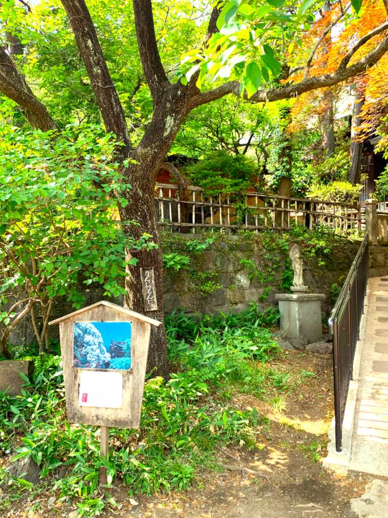 野川・国分寺崖線