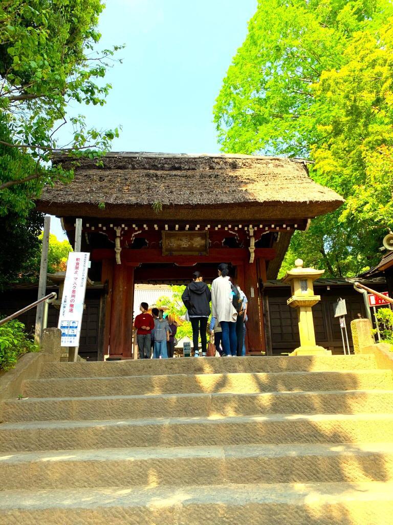 野川・国分寺崖線