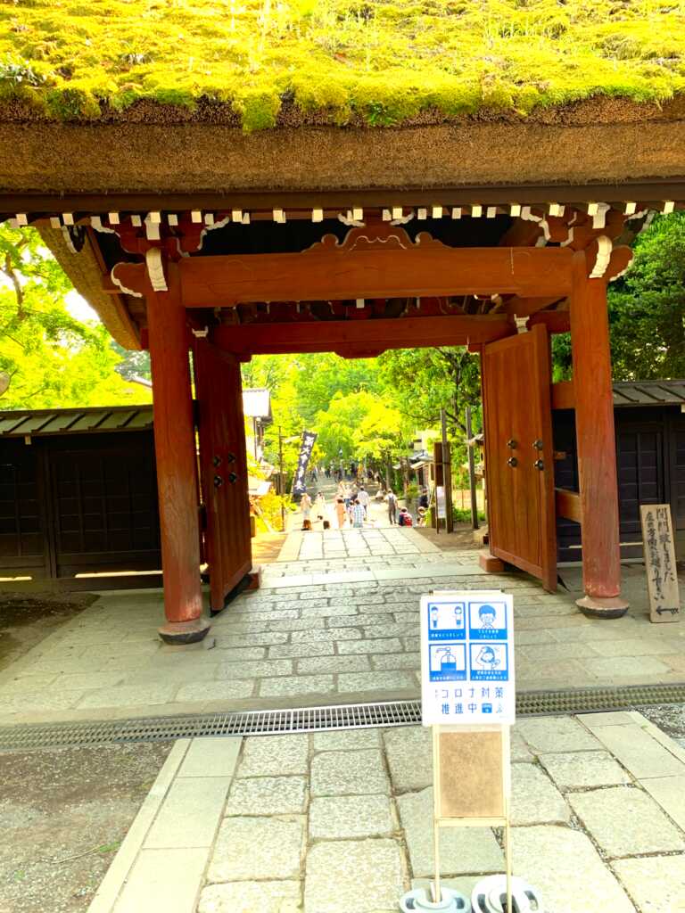 野川・国分寺崖線