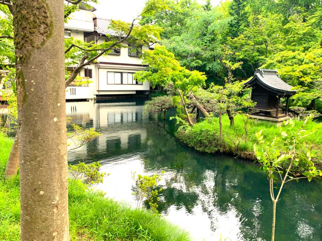 野川・国分寺崖線