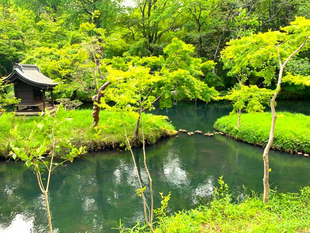 野川・国分寺崖線
