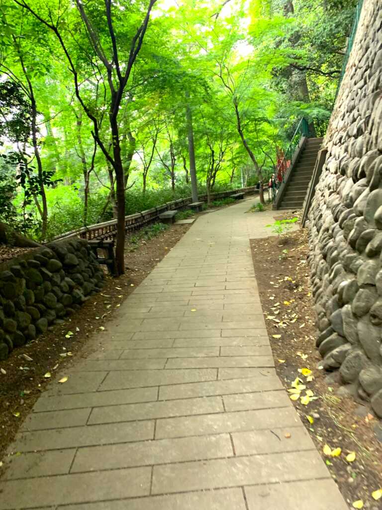 野川・国分寺崖線