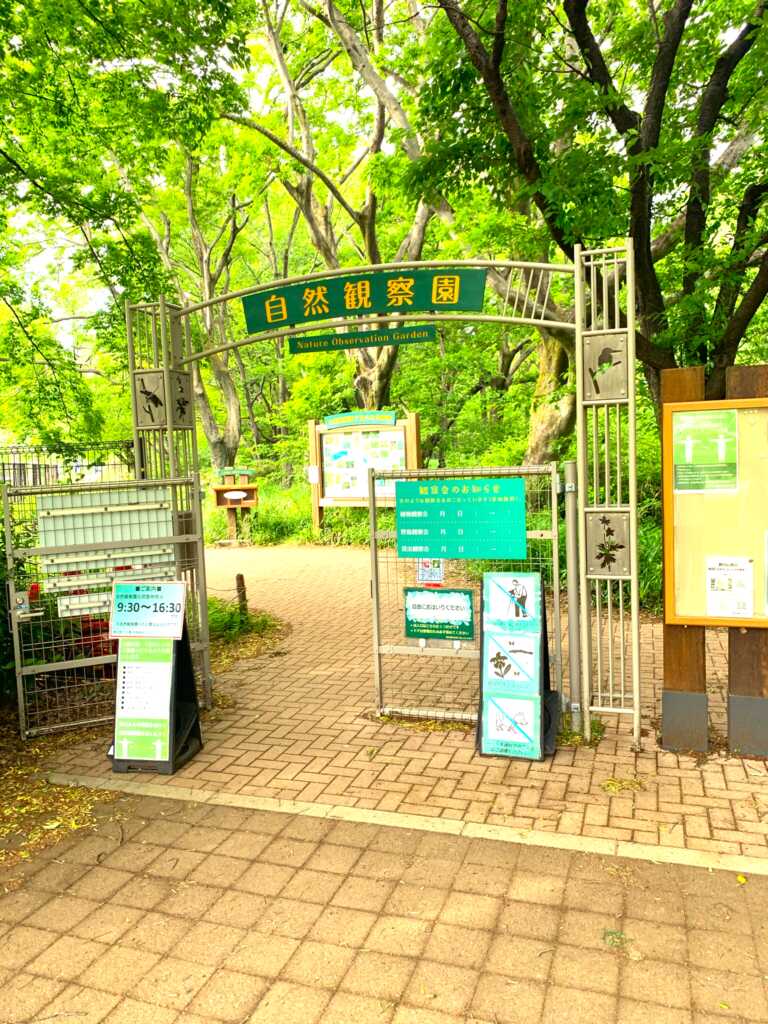 野川・国分寺崖線