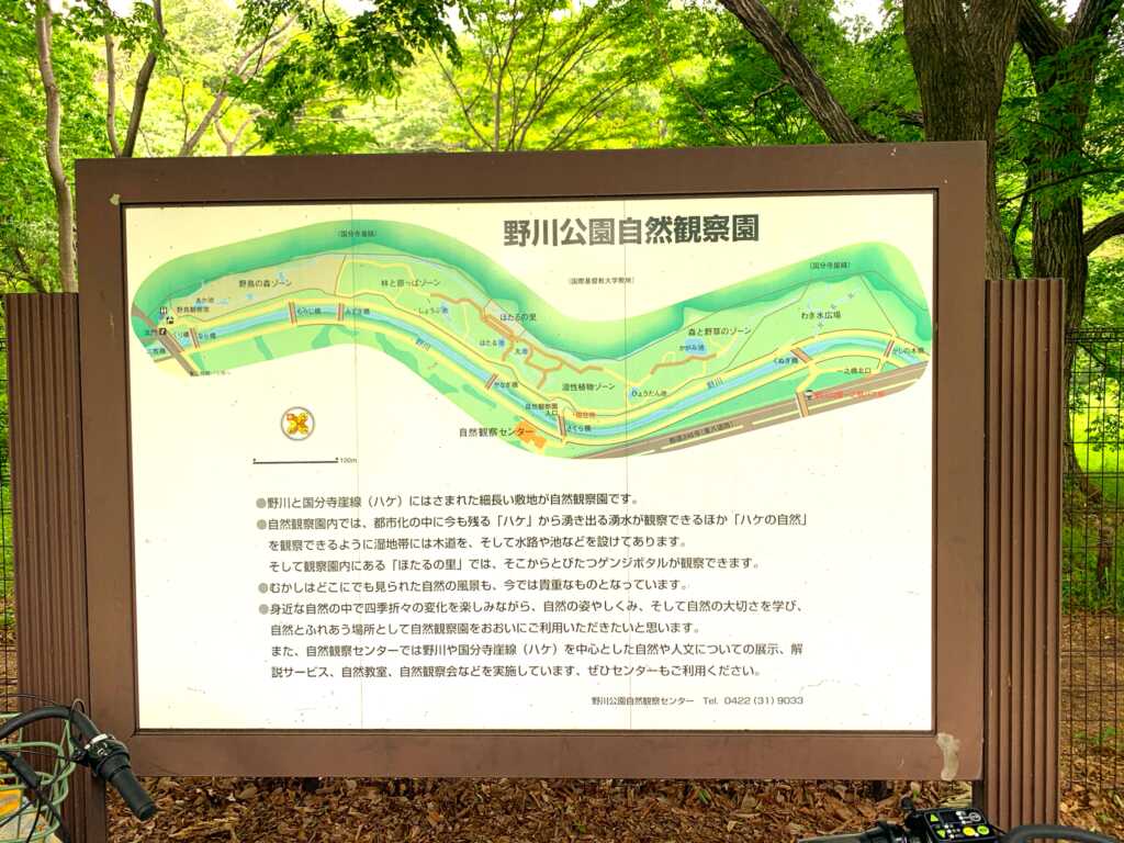 野川・国分寺崖線