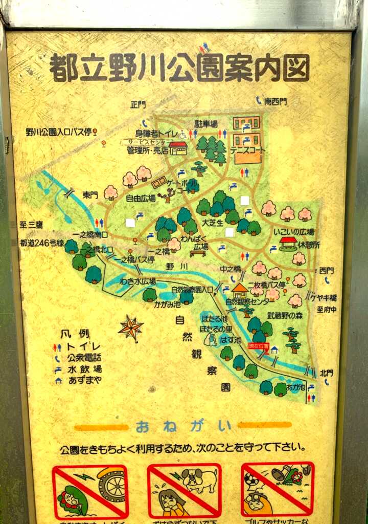 野川・国分寺崖線