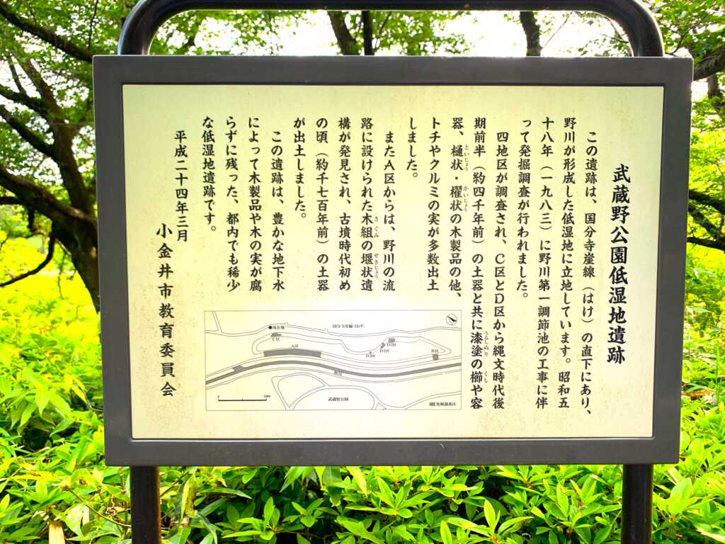野川・国分寺崖線