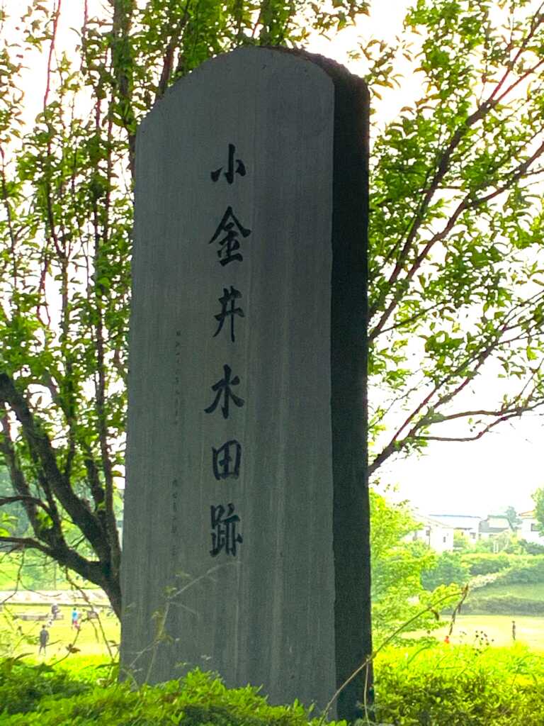 野川・国分寺崖線