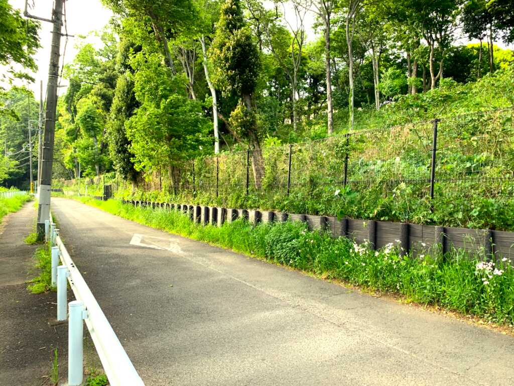 野川・国分寺崖線
