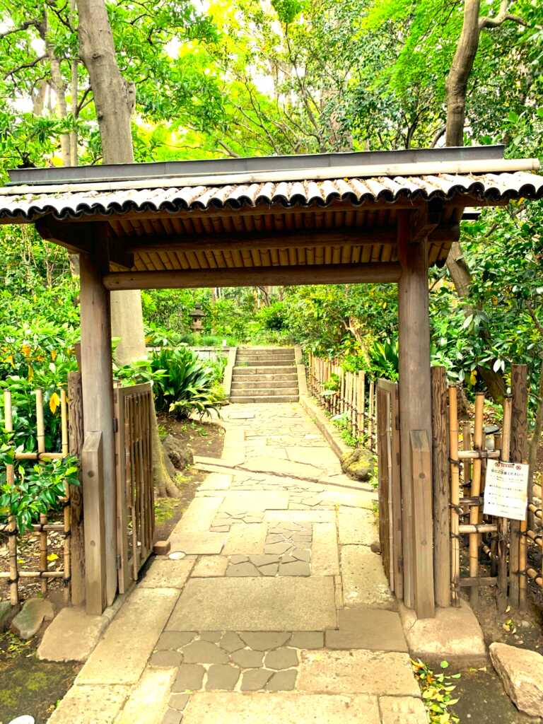 野川・国分寺崖線
