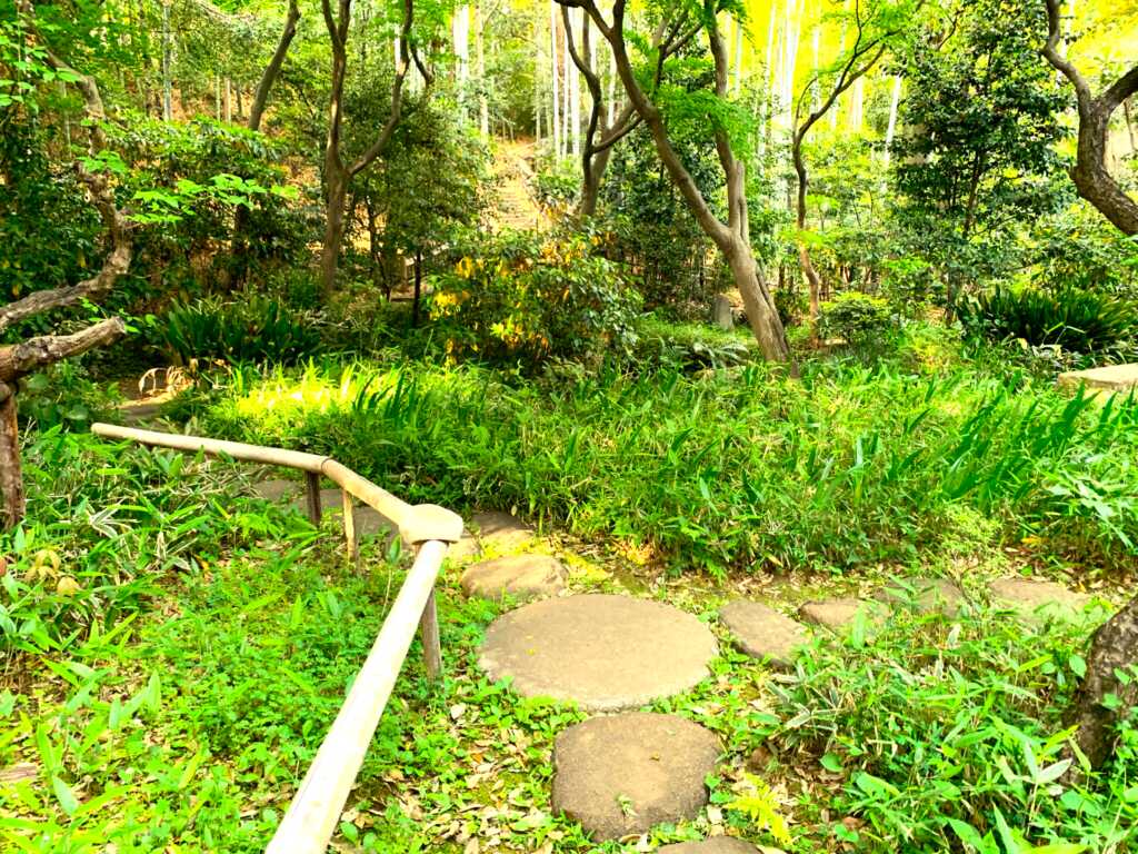野川・国分寺崖線
