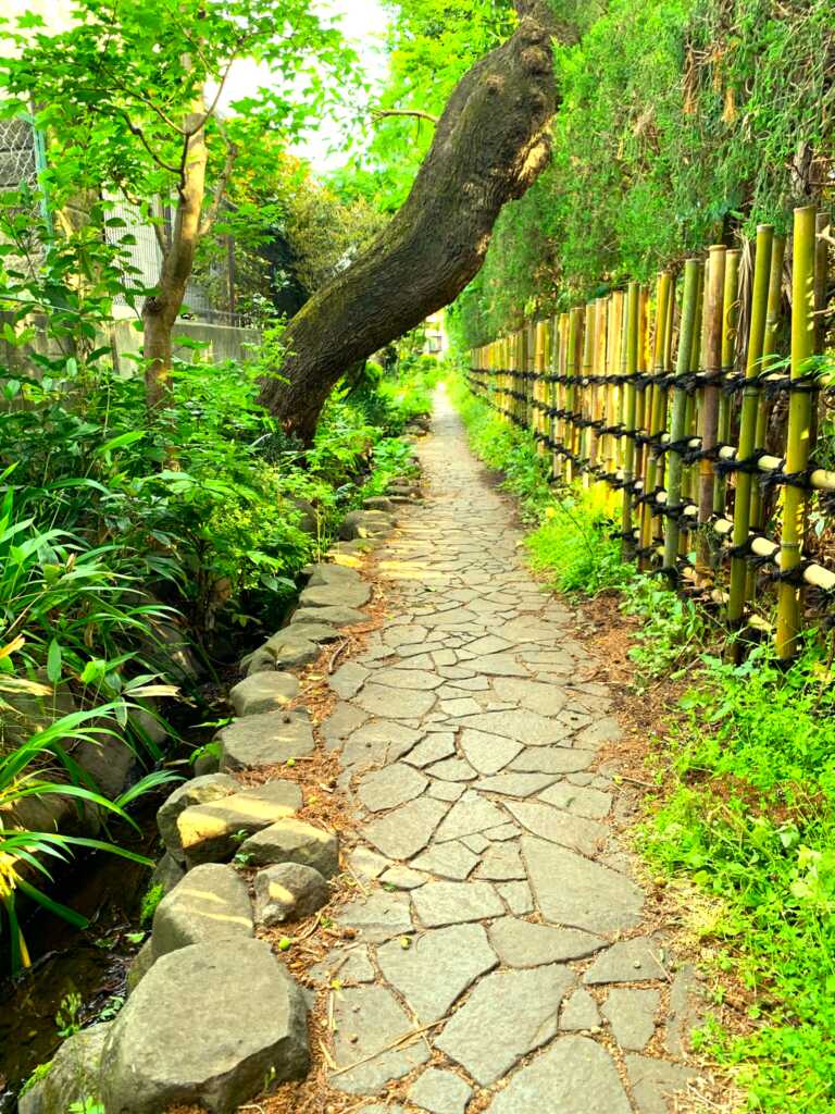 野川・国分寺崖線