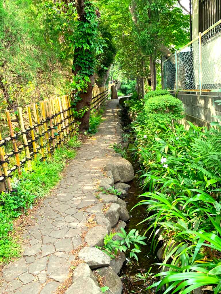野川・国分寺崖線