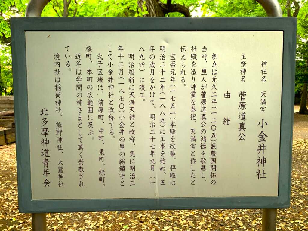 野川・国分寺崖線