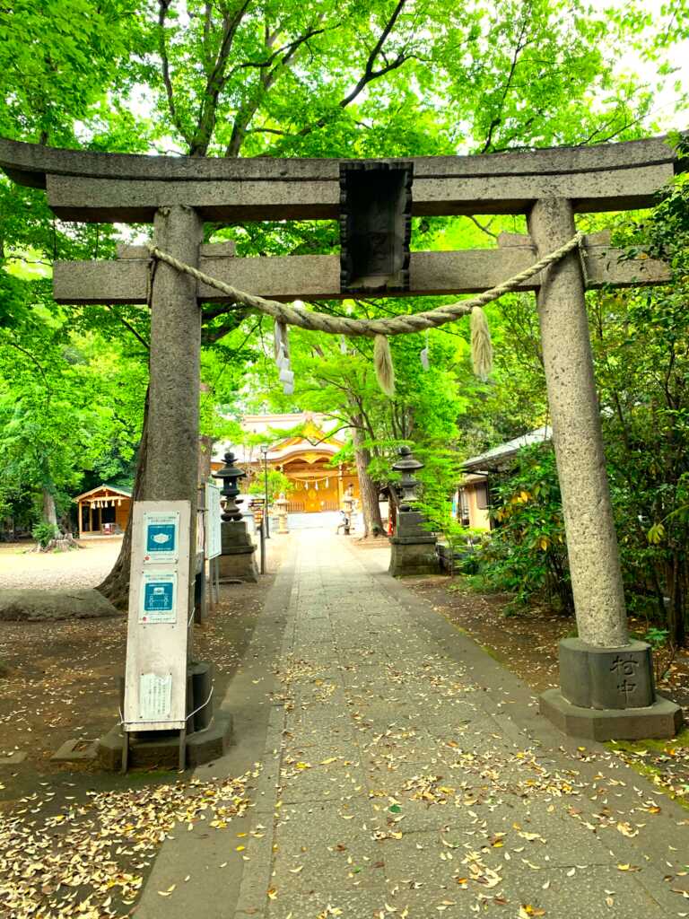 野川・国分寺崖線