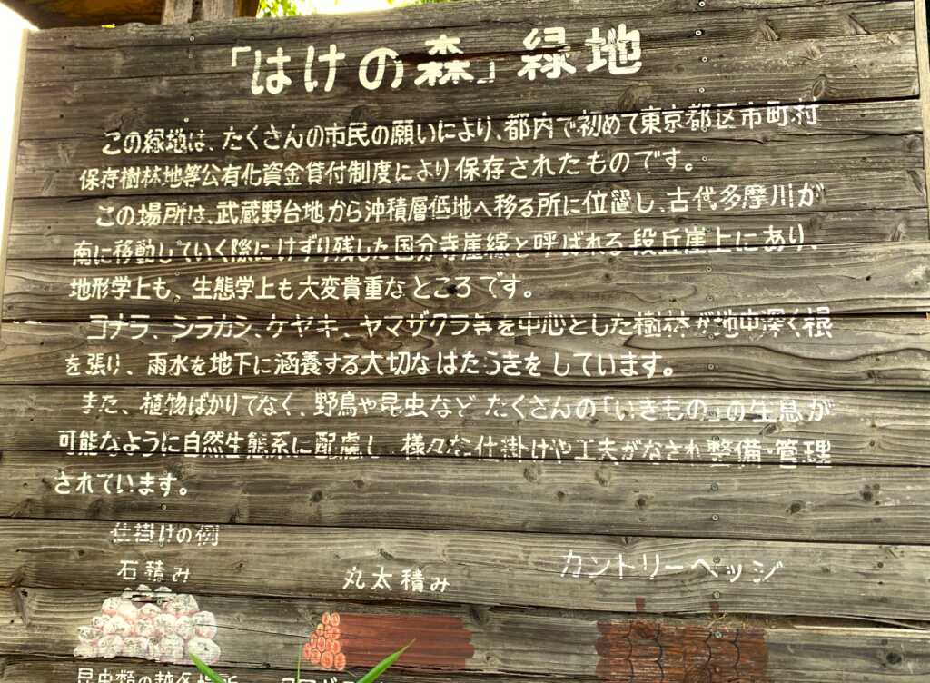 野川・国分寺崖線