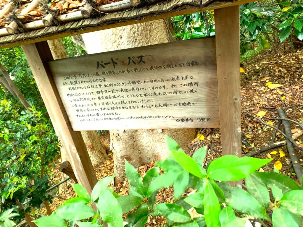 野川・国分寺崖線