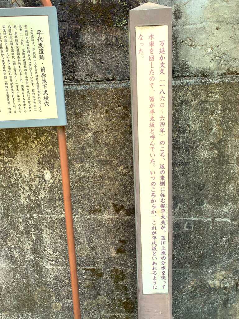 野川・国分寺崖線