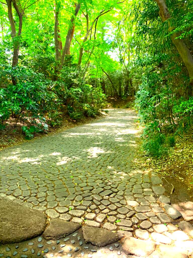 野川・国分寺崖線