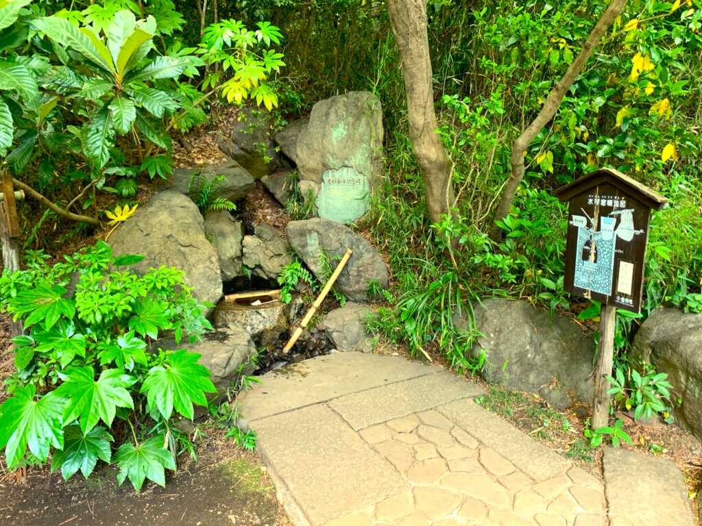野川・国分寺崖線