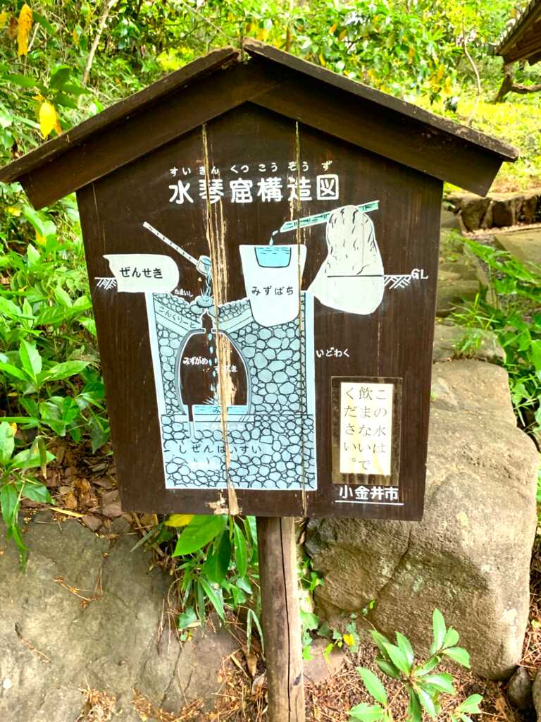 野川・国分寺崖線