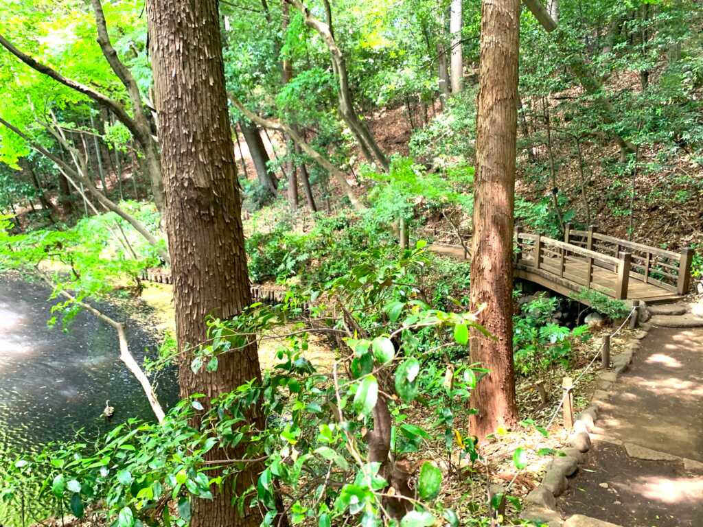 野川・国分寺崖線