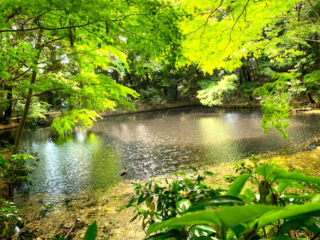 野川・国分寺崖線