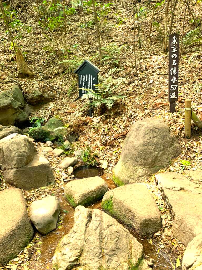 野川・国分寺崖線