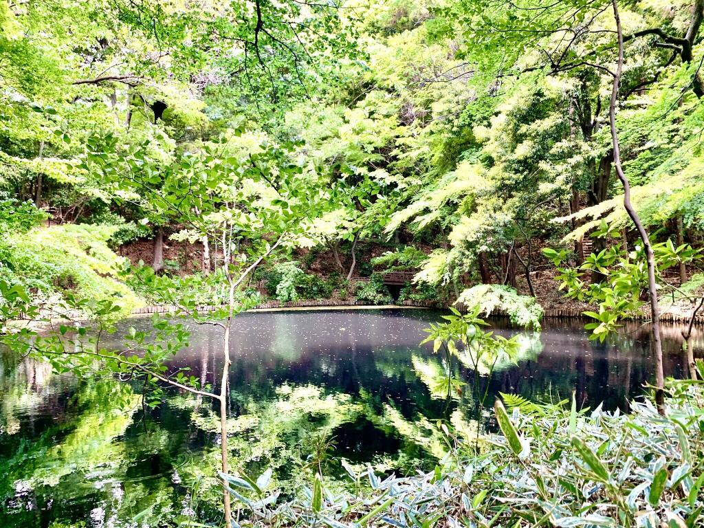 野川・国分寺崖線