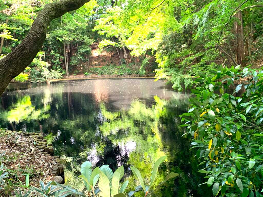 野川・国分寺崖線