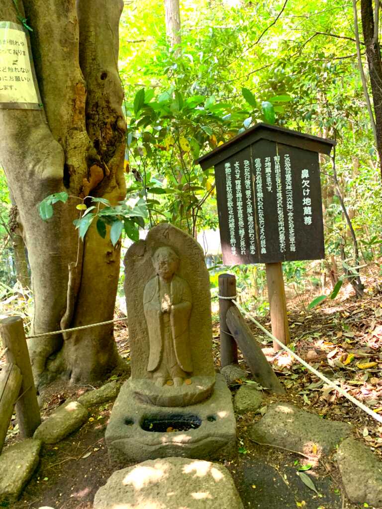 野川・国分寺崖線