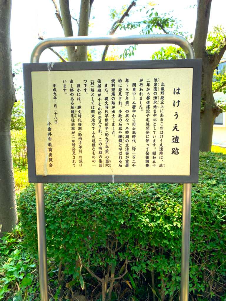 野川・国分寺崖線