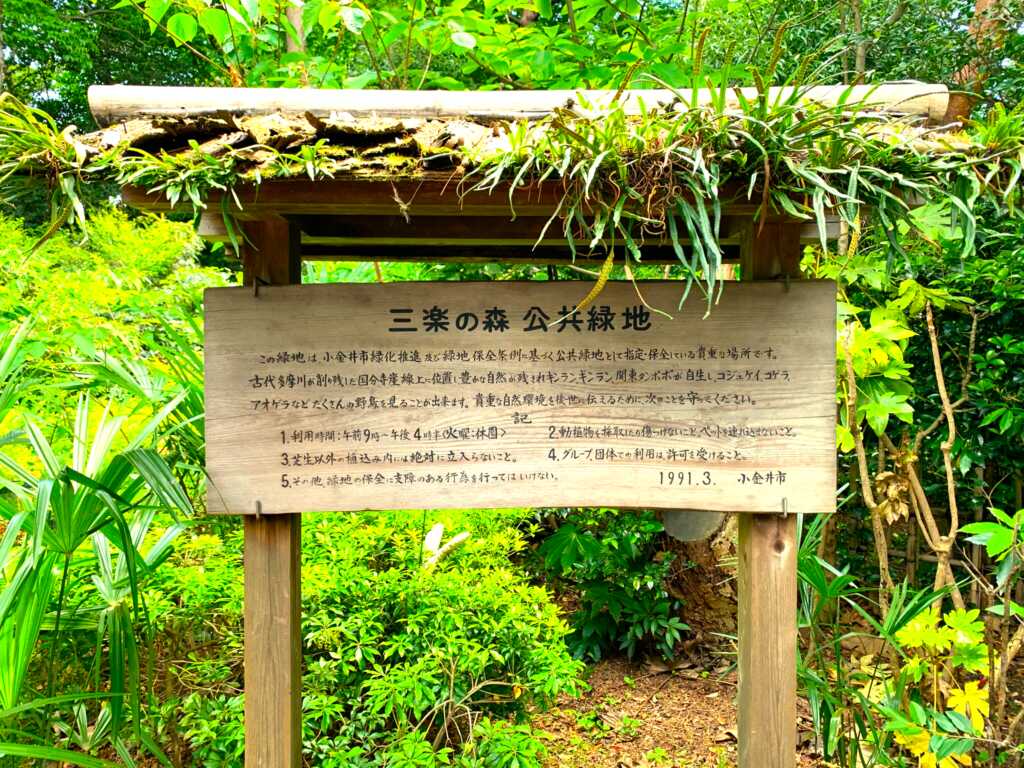 野川・国分寺崖線