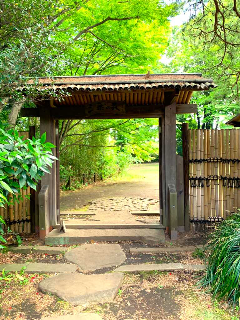 野川・国分寺崖線