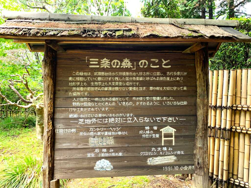 野川・国分寺崖線